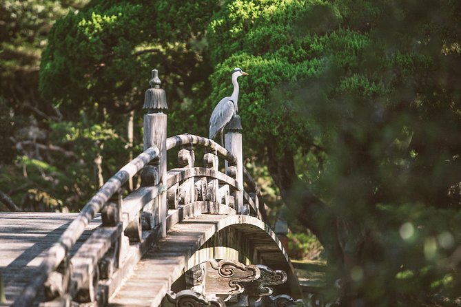 Kyoto and Nara Day Trip from Kyoto - Kyoto Imperial Palace grounds: history with a visitor-friendly backup plan