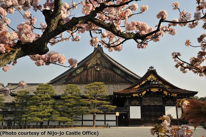 Kyoto and Nara Day Trip from Osaka - Kyoto and Nara in one day, what the schedule really feels like