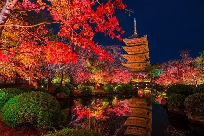 Kyoto and Nara Private Car Tour with a Local English Guide Driver - Why a private car day in Kyoto and Nara feels worth it