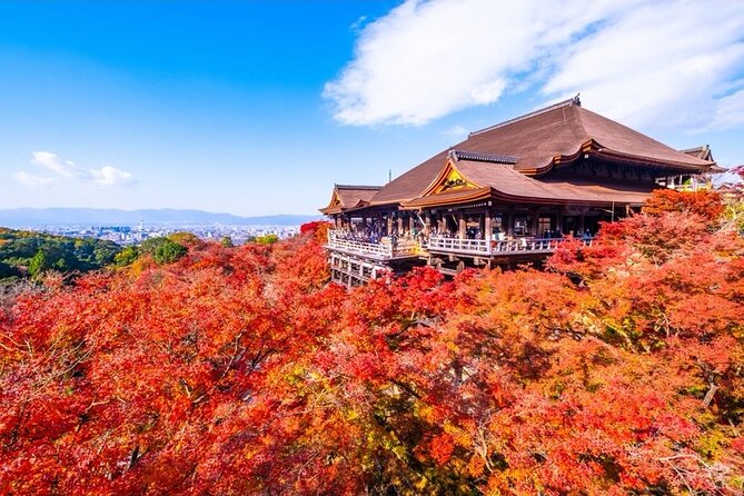 Kyoto and Nara Private Car Tour with a Local English Guide Driver - Kyoto morning: Fushimi Inari Taisha and the Arashiyama shift