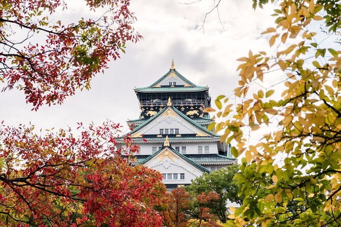Kyoto and Nara UNESCO Highlights Full-day Tour From Osaka - Kyoto streets to Gion and Hanamikoji: a different pace inside the day