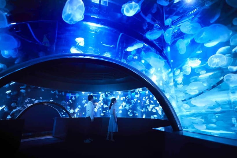 Kyoto Aquarium Admission Ticket - Key Points You Should Know Before You Go