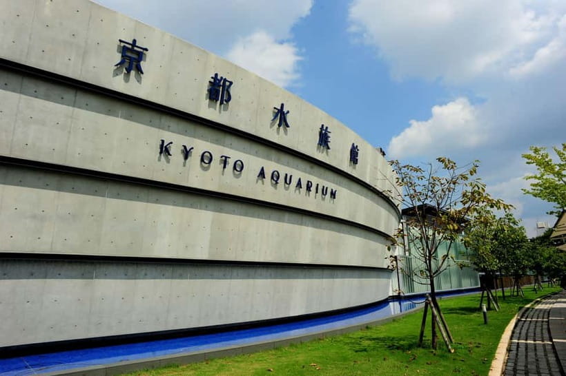 Kyoto Aquarium Admission Ticket - Giant Salamanders: The Exhibit That Changes Your Pace