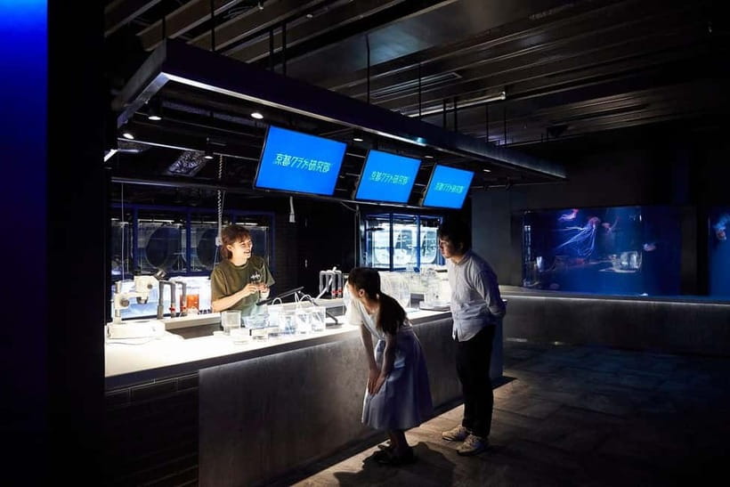 Kyoto Aquarium Admission Ticket - How to Plan a Smooth Visit (No Re-Entry, Camera Rules, and Time Budget)