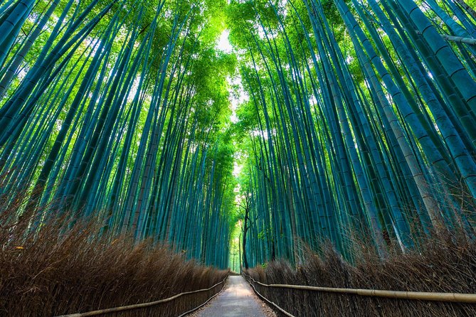 Kyoto Arashiyama Bamboo forest & Garden Half-Day Walking Tour - Small-Group Arashiyama: What This Tour Delivers (and Why It’s Worth $129)
