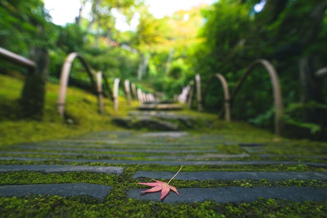 Kyoto Arashiyama Bamboo forest & Garden Half-Day Walking Tour - Walking Time, Step Count, and Weather Reality
