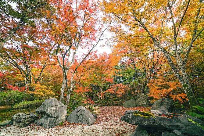 Kyoto Arashiyama Bamboo forest & Garden Half-Day Walking Tour - Should You Book This Tour?