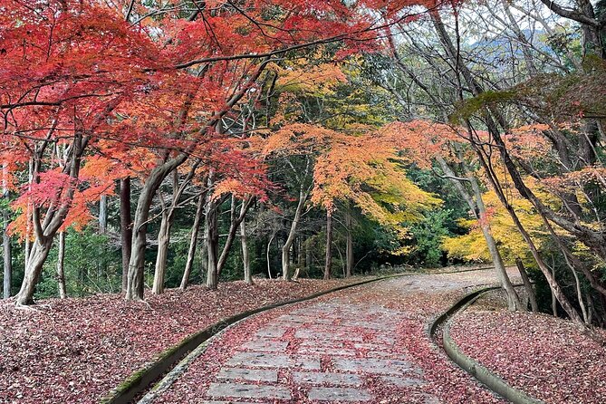 Kyoto Arashiyama Bamboo Forest Hiking Tour（Hidden Temples） - Entering Arashiyama the Right Way, With a Guide Who Actually Helps