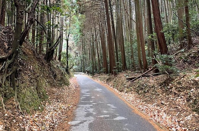 Kyoto Arashiyama Bamboo Forest Hiking Tour（Hidden Temples） - Value for Money: How $52.71 Adds Up for This Mix of Sights