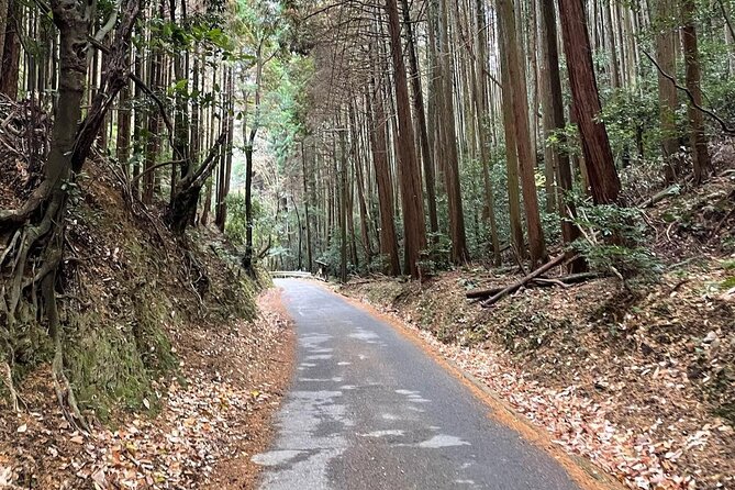 Kyoto Arashiyama Bamboo Forest Hiking Tour（Hidden Temples） - Where You’ll Start, How the Tour Ends, and What to Expect on the Day