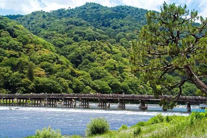 Kyoto: Arashiyama Bamboo Forest, Monkeys, Matcha & Temple Tour - Key highlights from this Arashiyama tour