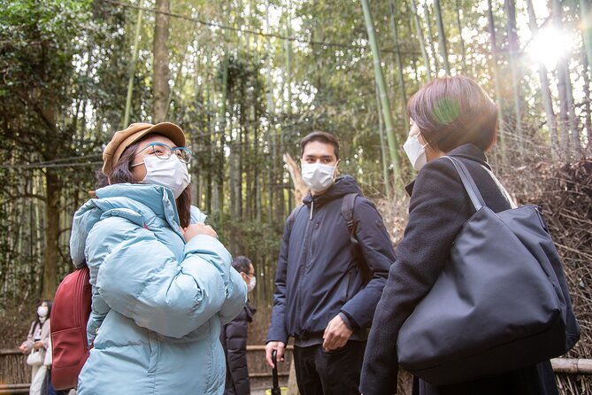 Kyoto Arashiyama Bamboo Forest & Scenery Customized Private Tour - Okochi Sanso Garden: Actor Denjiro Okochi’s Villa-Garden Legacy