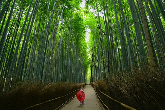 Kyoto: Arashiyama Bamboo, Temple, Matcha, Monkeys & secret spots - Stop 5: Togetsukyo Bridge for Katsura River views