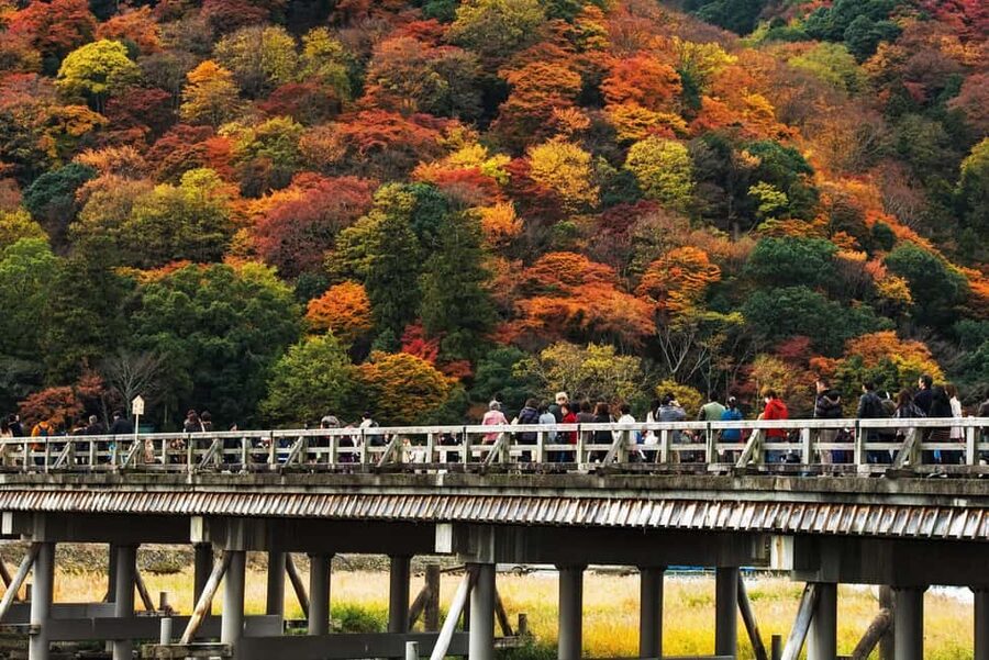 Kyoto: Arashiyama Bamboo, Togetsukyo bridge, Sanso, and more - Who this Arashiyama tour is best for