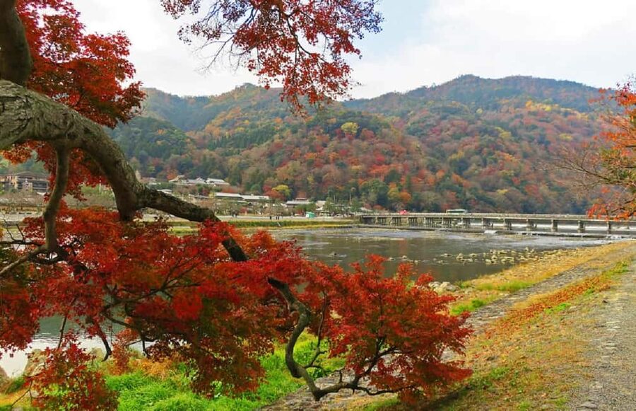 Kyoto: Arashiyama Bamboo, Togetsukyo bridge, Sanso, and more - Kimono Forest: modern color to close your Arashiyama loop