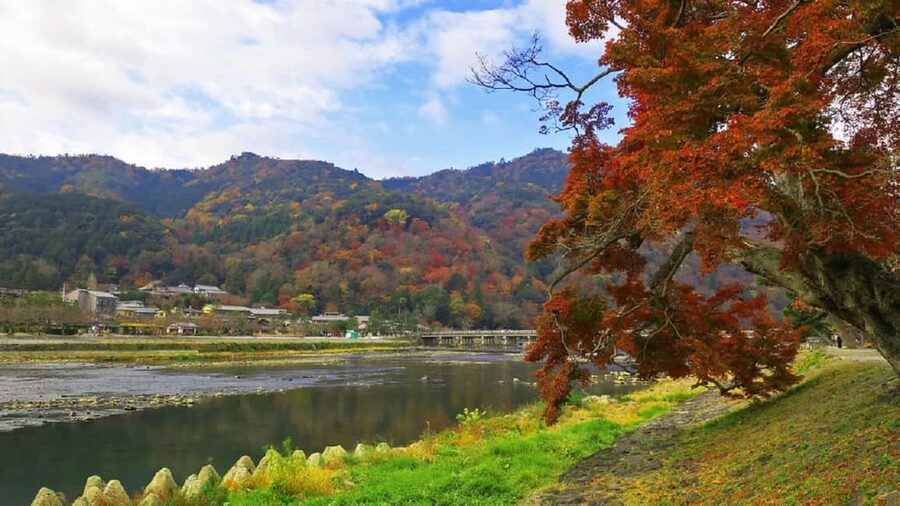 Kyoto: Arashiyama Bamboo, Togetsukyo bridge, Sanso, and more - How the route fits into your day (and why the guide matters)