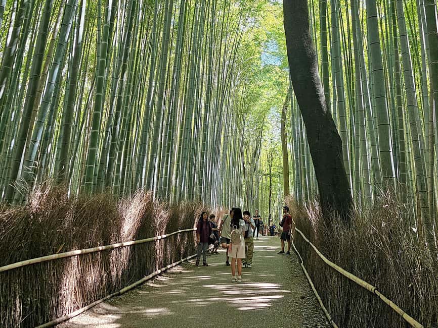 Kyoto: Arashiyama Bamboo, Togetsukyo bridge, Sanso, and more - What you pay (and what you still need to budget)