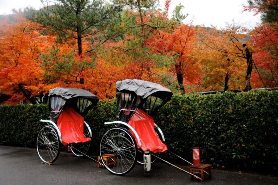 Kyoto: Arashiyama Customized Rickshaw Tour & Bamboo Forest - Price and value: does $51 per person make sense here?