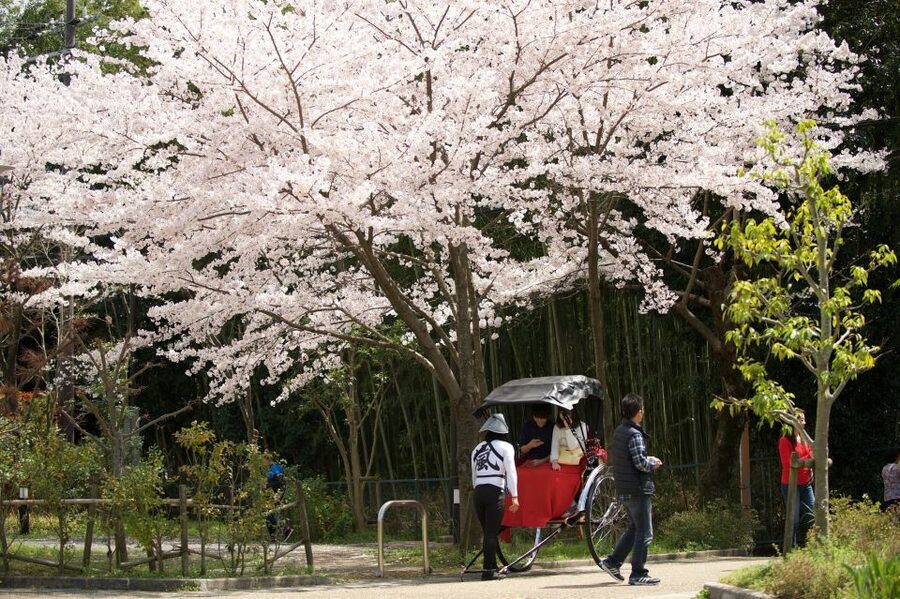 Kyoto: Arashiyama Customized Rickshaw Tour & Bamboo Forest - Choosing the right duration: 45, 1:10, 2:10, or 3:10