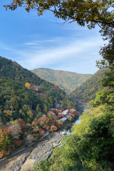 Arashiyama Guided Tour, Bamboo, Monkey, Zen Temple