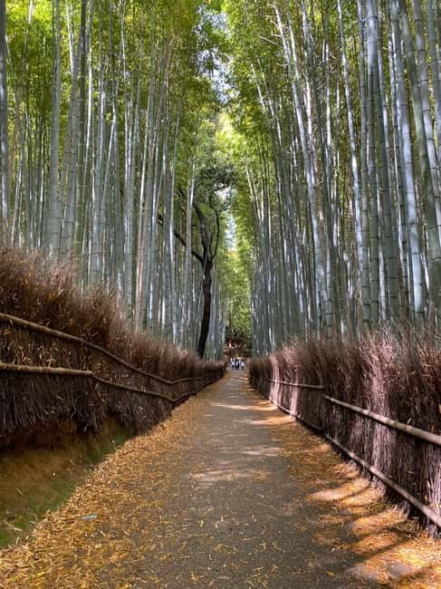 Kyoto: Arashiyama Guided Tour, Bamboo, Monkey, Zen Temple - Tenryu-ji Temple and Its Garden Layout