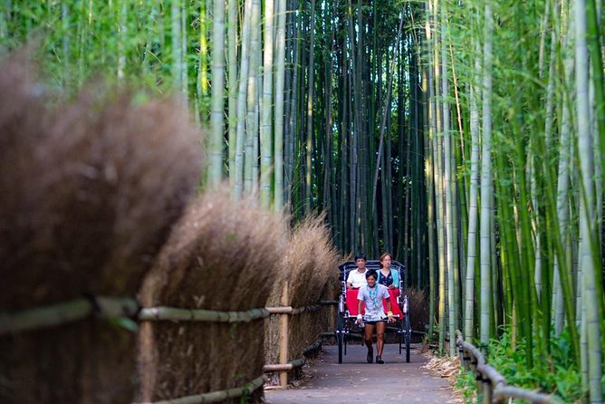 Kyoto Arashiyama Rickshaw Tour with Bamboo Forest - Comfort, shade, and the reality of riding in a narrow seat