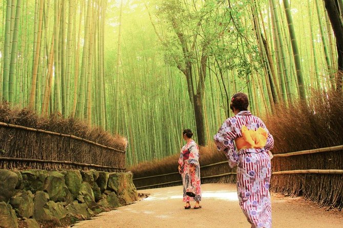 Kyoto Arashiyama & Sagano Bamboo Private Tour with Government-Licensed Guide - Key highlights worth planning around