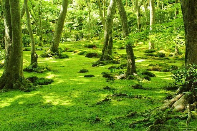 Kyoto Arashiyama & Sagano Bamboo Private Tour with Government-Licensed Guide - Price and what $157.82 per person really buys you