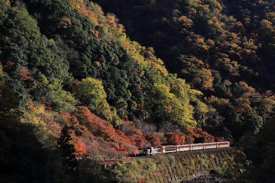 Kyoto: Arashiyama Tour with optional Sagano Romantic Train - Key things to know before you go