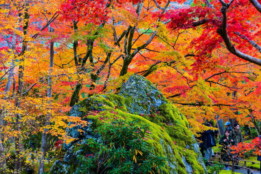 Kyoto: Arashiyama Tour with optional Sagano Romantic Train - Meeting points and timing: start smart, stay relaxed
