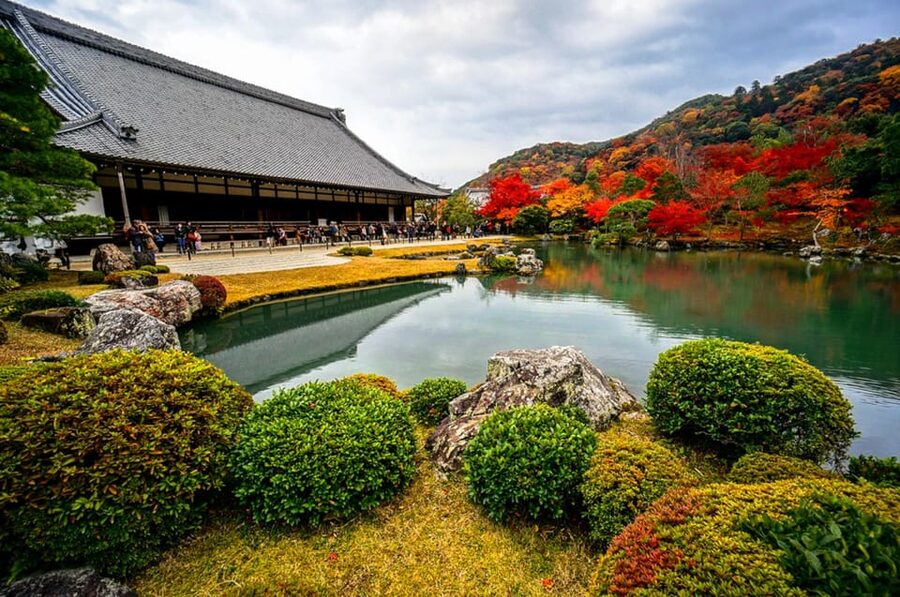 Kyoto: Arashiyama Tour with optional Sagano Romantic Train - Arashiyama Bamboo Forest: famous for a reason, best when guided