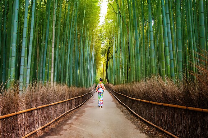 Kyoto Arashiyama Walking Tour: Bamboo, Monkeys, Gardens & Secrets - Starting at Saga-Arashiyama Station, and why it matters