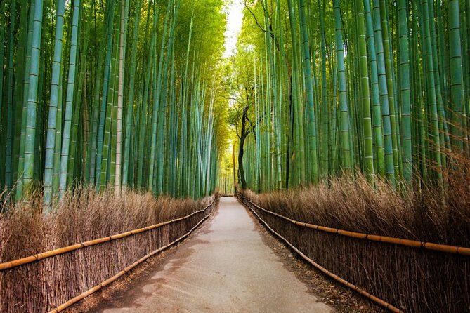 Kyoto Arashiyama Walking Tour: Bamboo, Monkeys, Gardens & Secrets - Okochi Sanso Garden: the peaceful payoff after bamboo