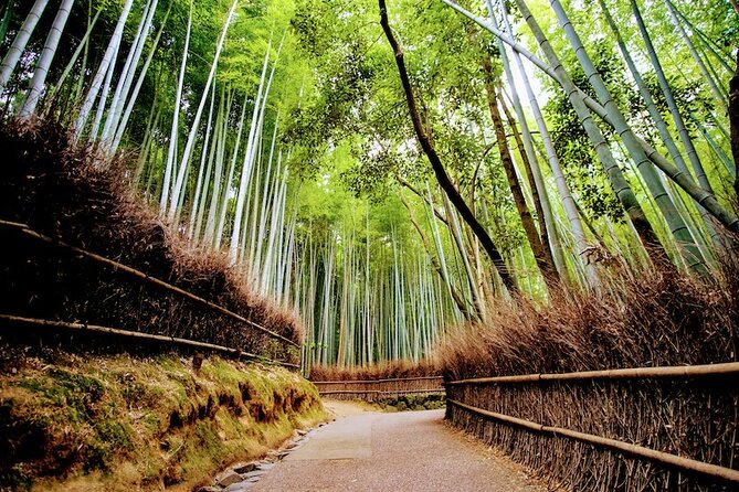 Kyoto Arashiyama Walking Tour: Bamboo, Monkeys, Gardens & Secrets - Bamboo Forest Trail: great photos, better understanding