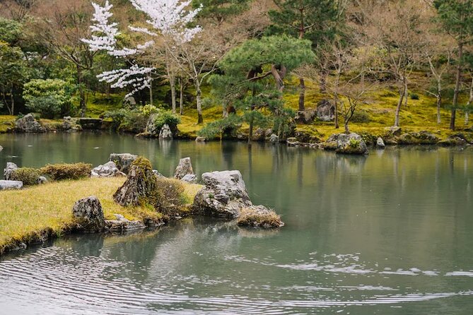 Kyoto Arashiyama Walking Tour: Bamboo, Monkeys, Gardens & Secrets - Monkey Park Iwatayama: the hike, the payoff, and the real reason to plan well