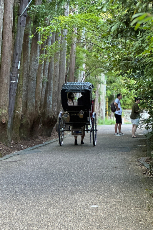 Kyoto: Avoid the Crowds at the Hidden Gems of Arashiyama - Key highlights