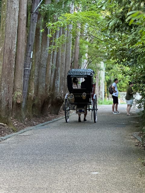 Kyoto: Avoid the Crowds at the Hidden Gems of Arashiyama - Why Arashiyama Feels Better When You Skip the Main Crowd