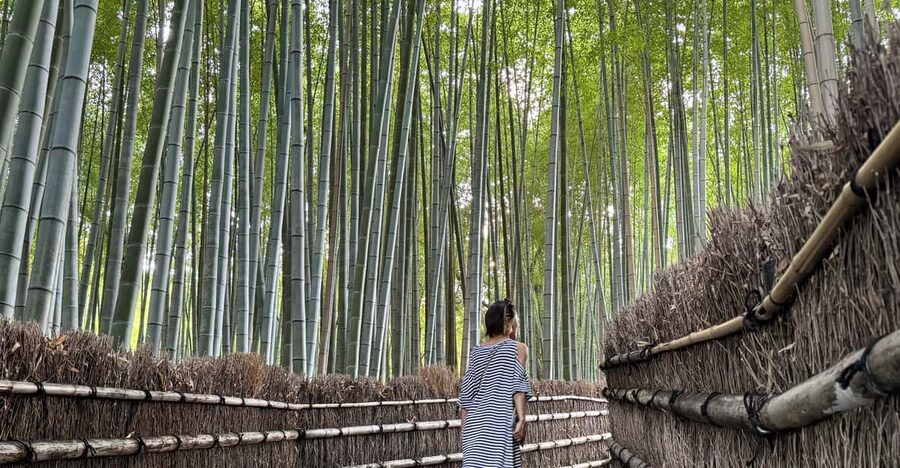 Kyoto: Avoid the Crowds at the Hidden Gems of Arashiyama - Start at Saga Arashiyama Station, Then Walk Like a Local