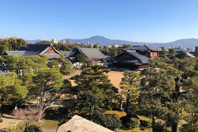 Kyoto Bamboo Forest & Golden Pavilion E-Bike Tour - The Arashiyama Bamboo Forest trail: tall stalks, real atmosphere