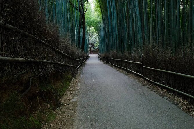 Kyoto Bamboo Forest & Golden Pavilion E-Bike Tour - Food stop and local flavor, plus how guides help you eat