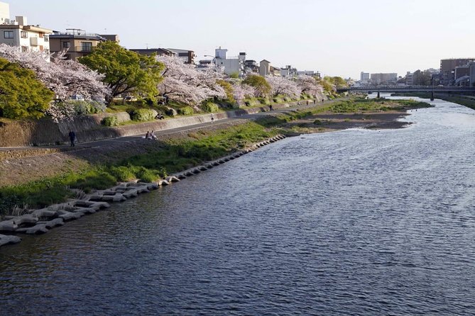 Kyoto Bar Hopping Night Tour - Key Points You Should Know Before You Go