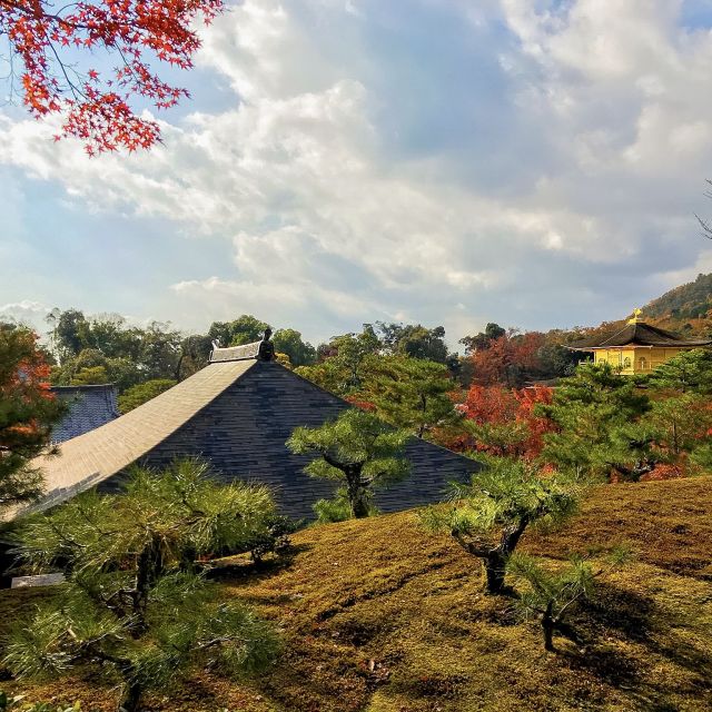 Kyoto: City Secrets eBike Tour - The Mochi Pause and Café Stops That Feel Local