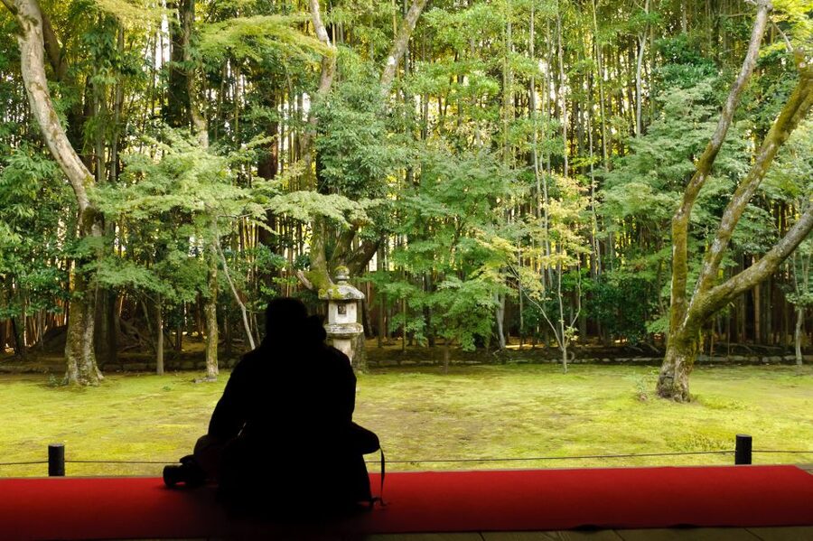 Kyoto: City Secrets eBike Tour - E-Bike Comfort, Safety, and What the Ride Actually Feels Like
