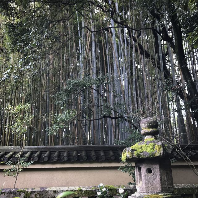 Kyoto: City Secrets eBike Tour - Small Group Size and the Guide Factor (Henry, Shizuka, Yuta, Sean)