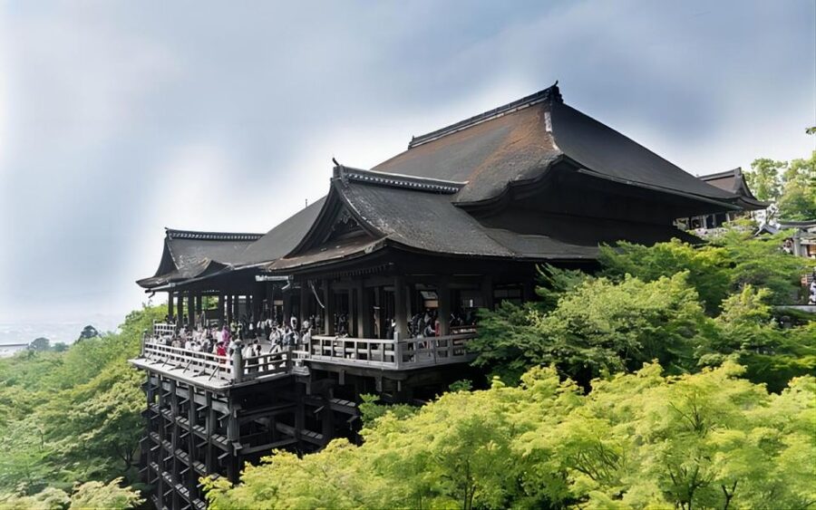 Kyoto: Customizable Full-Day Tour with Privarte Transfers - Vehicle comfort and logistics by group size