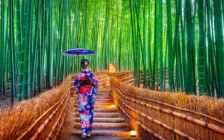 Kyoto Day Tour with Certified Tour Guide & Luxury vehicle - Quick take: what makes this Kyoto day tour work