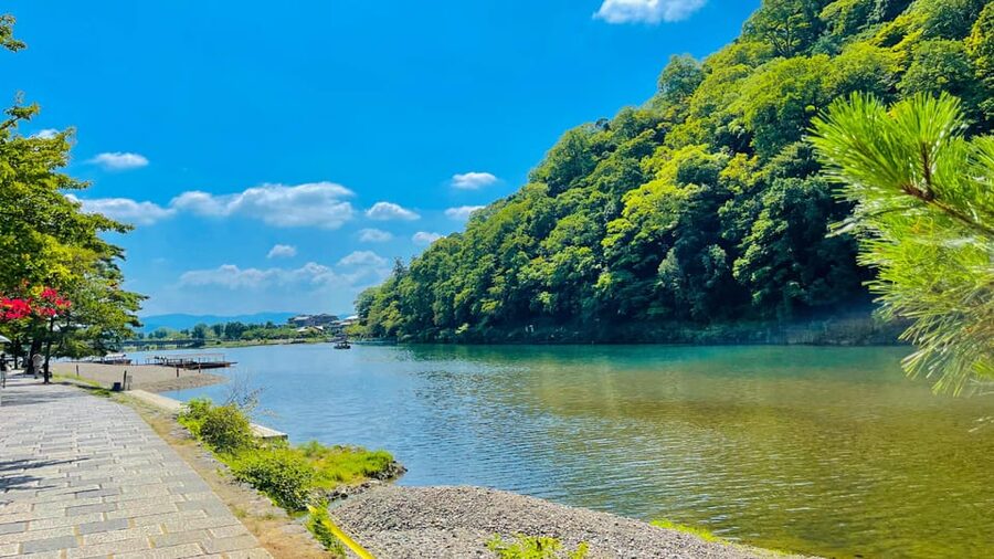 Kyoto Day Tour with Certified Tour Guide & Luxury vehicle - Guide and driver quality: names like Dhanush, Nomi, Sami, Ravi, and Sam matter