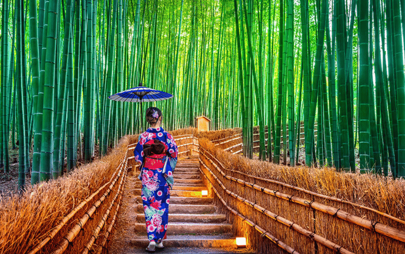 Kyoto Day Tour with Certified Tour Guide & Luxury vehicle - Why a private 10-hour Kyoto day tour feels worth it