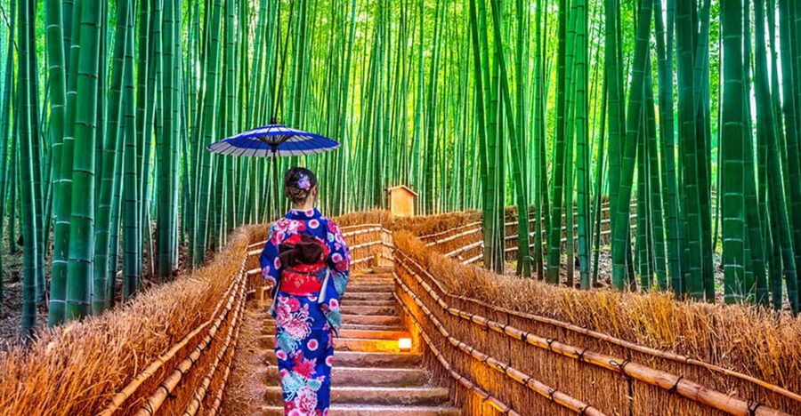 Kyoto Day Tour with Certified Tour Guide & Luxury vehicle - Arashiyama in about 90 minutes: bamboo-style photos, shopping, and that train ride