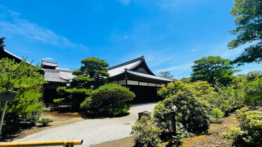 Kyoto Day Tour with Certified Tour Guide & Luxury vehicle - Fushimi Inari Taisha in one guided hour: gates, stairs, and walking rhythm